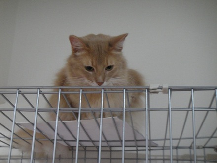 2013011501.jpg