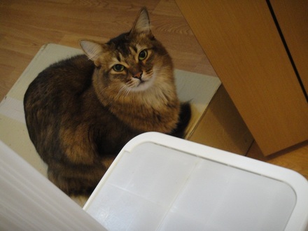 2013012100.jpg