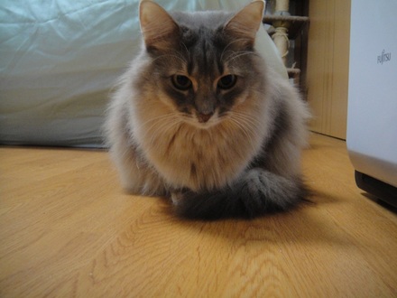 2013012602.jpg