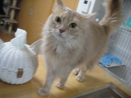 2013012603.jpg