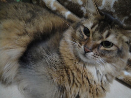 2013012605.jpg