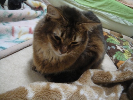 2013012606.jpg