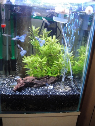 20130207.jpg