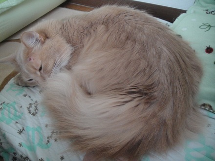 2013020800.jpg