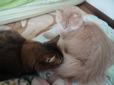 2013020801.jpg