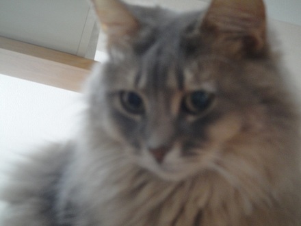 2013021700.jpg