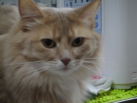 2013021701.jpg