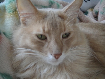 2013021702.jpg
