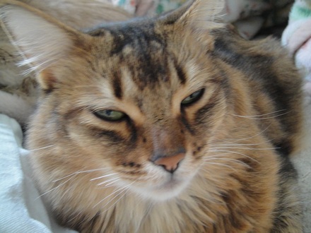 2013021703.jpg