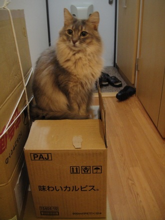 2013021800.jpg