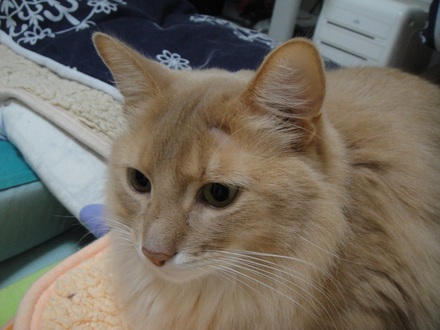 2013021900.jpg