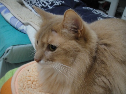2013021901.jpg