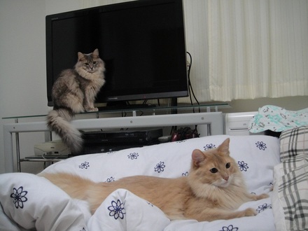 2013022100.jpg