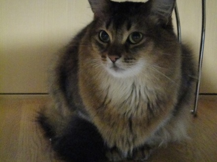2013022101.jpg