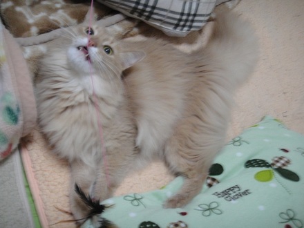 2013022102.jpg