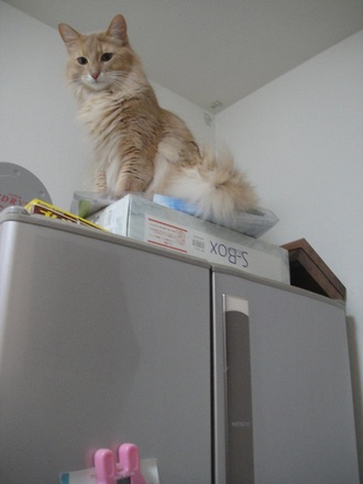 2013022600.jpg