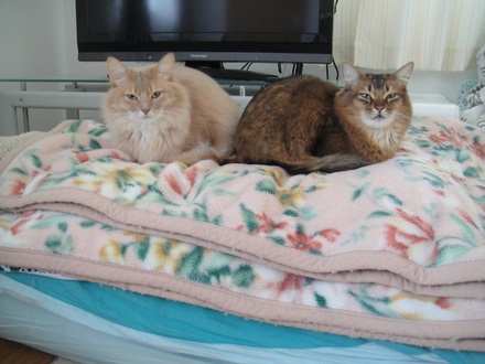 2013030301.jpg