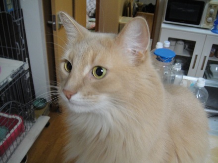 2013031000.jpg