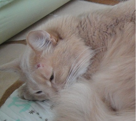2013031001.jpg