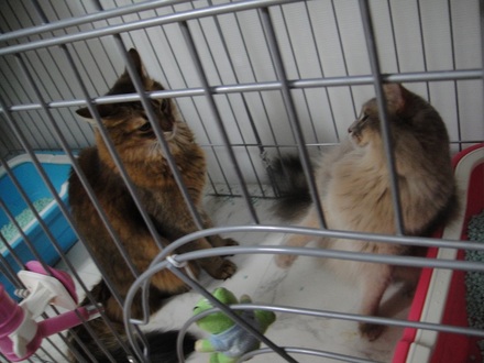 2013031201.jpg
