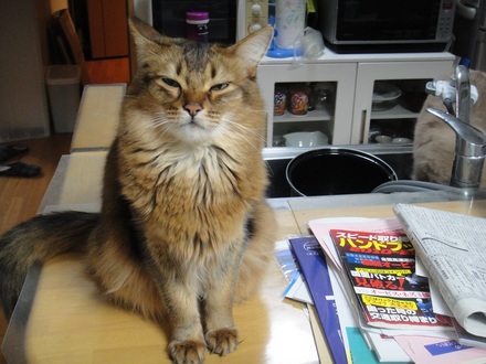 2013031203.jpg