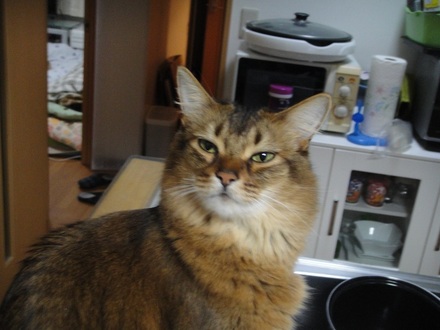 2013031204.jpg