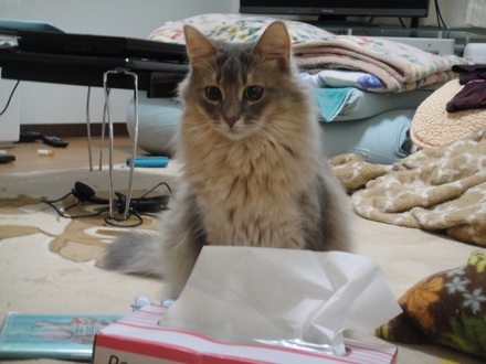 2013031400.jpg