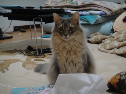 2013031401.jpg