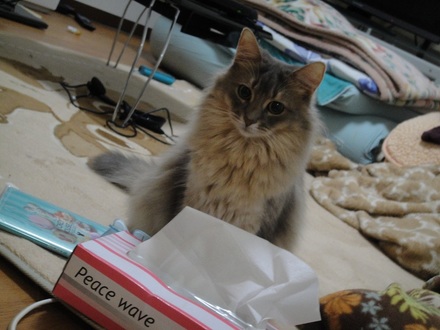 2013031402.jpg