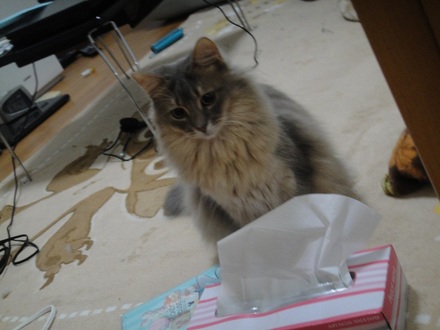 2013031403.jpg