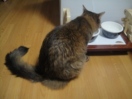 2013031407.jpg