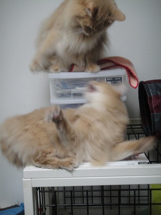 2013031802.jpg