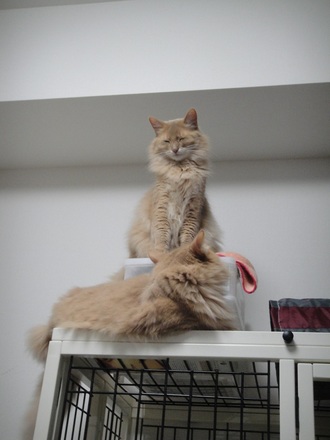 2013031804.jpg
