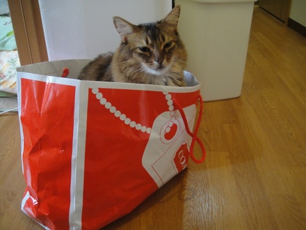 2013032001.jpg