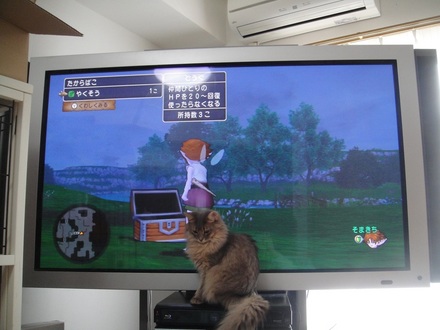 2013032102.jpg