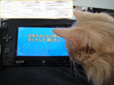 2013032103.jpg