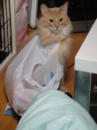 2013032403.jpg