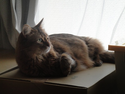 2013042100.jpg