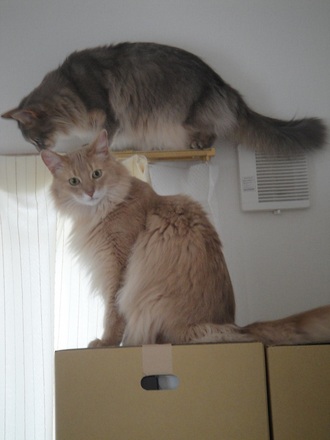 2013042101.jpg