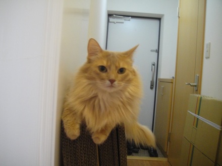 2013042102.jpg