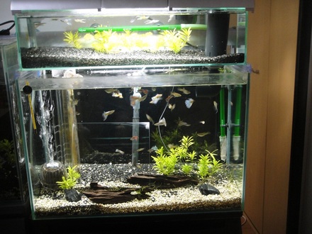 2013042801.jpg