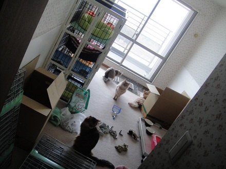 2013051103.jpg