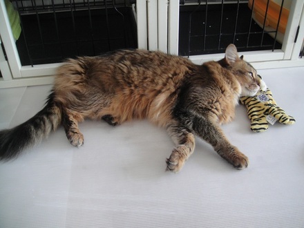 2013051107.jpg
