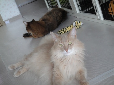 2013051108.jpg