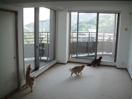 2013051109.jpg