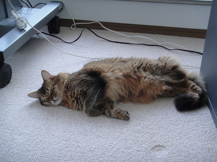 2013051500.jpg
