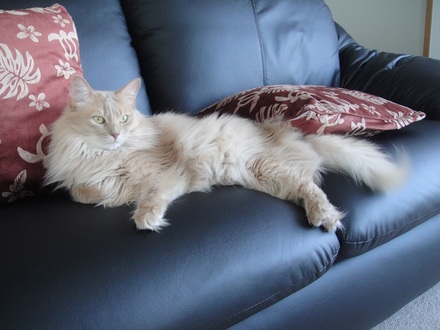 2013051501.jpg