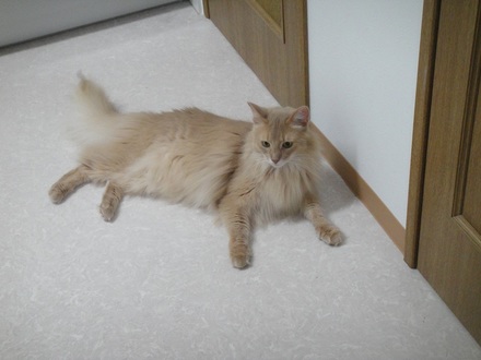 2013051502.jpg