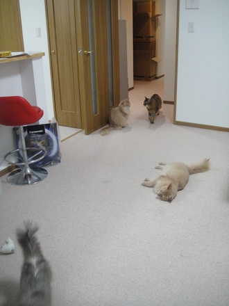 2013051503.jpg