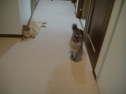 2013051505.jpg